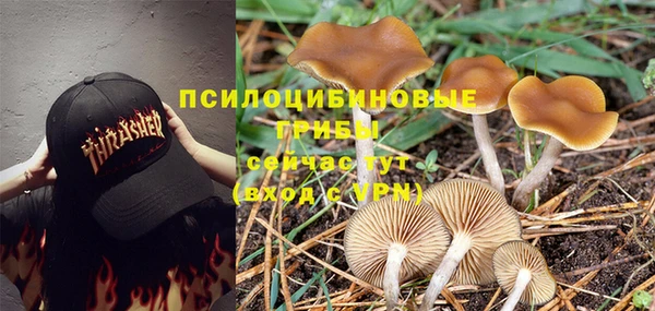 эйфоретик Кодинск