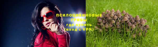 прущие крисы Козельск