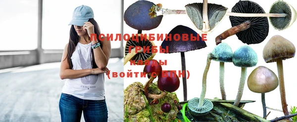 круглые Киренск