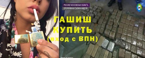 гидра Корсаков